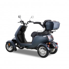 SN-4L Mobility Scooters for Seniors and Adults, Powered Mobility Scooters with Multiple Storage Space, Recreational Electric Mobility Scooter, Powerful 800W Motor, Full LED Lighting, Grey