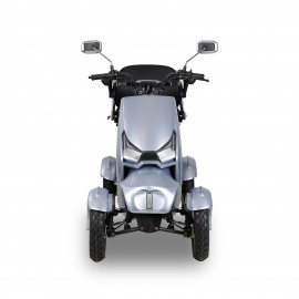 SN-4L Mobility Scooters for Seniors and Adults, Powered Mobility Scooters with Multiple Storage Space, Recreational Electric Mobility Scooter, Powerful 800W Motor, Full LED Lighting, Silver
