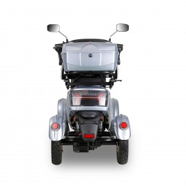 SN-4L Mobility Scooters for Seniors and Adults, Powered Mobility Scooters with Multiple Storage Space, Recreational Electric Mobility Scooter, Powerful 800W Motor, Full LED Lighting, Silver