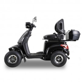 AFDD (GRF)  2-in-1 Golf Cart the Ultimate Outdoor Heavy-duty Mobility Scooter Black
