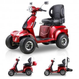 AFDD (GRF)  2-in-1 Golf Cart the Ultimate Outdoor ..